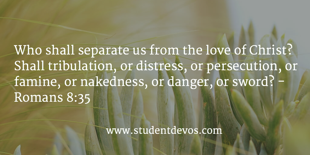 Daily Bible Verse And Daily Devotion Fors And Youth On The Love Of