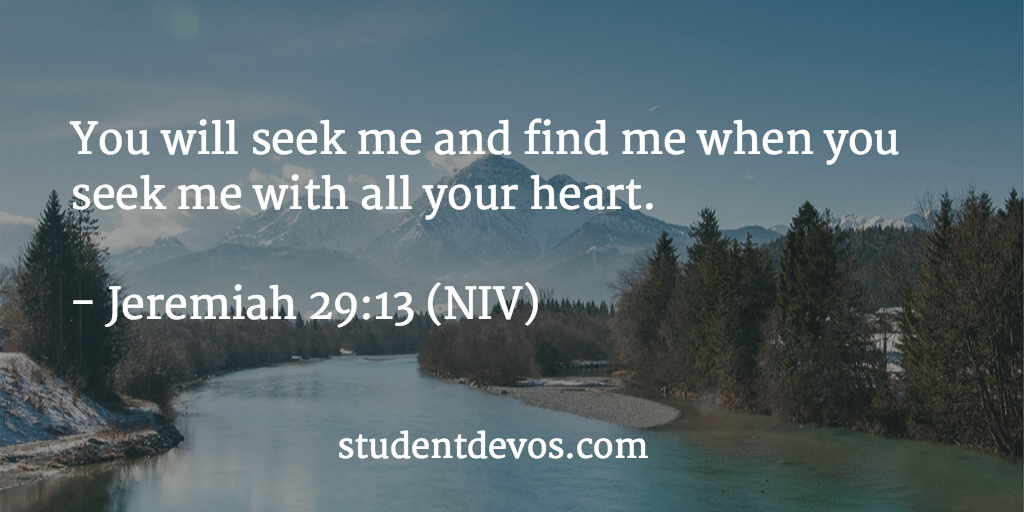 Daily devotional on seeking the Lord