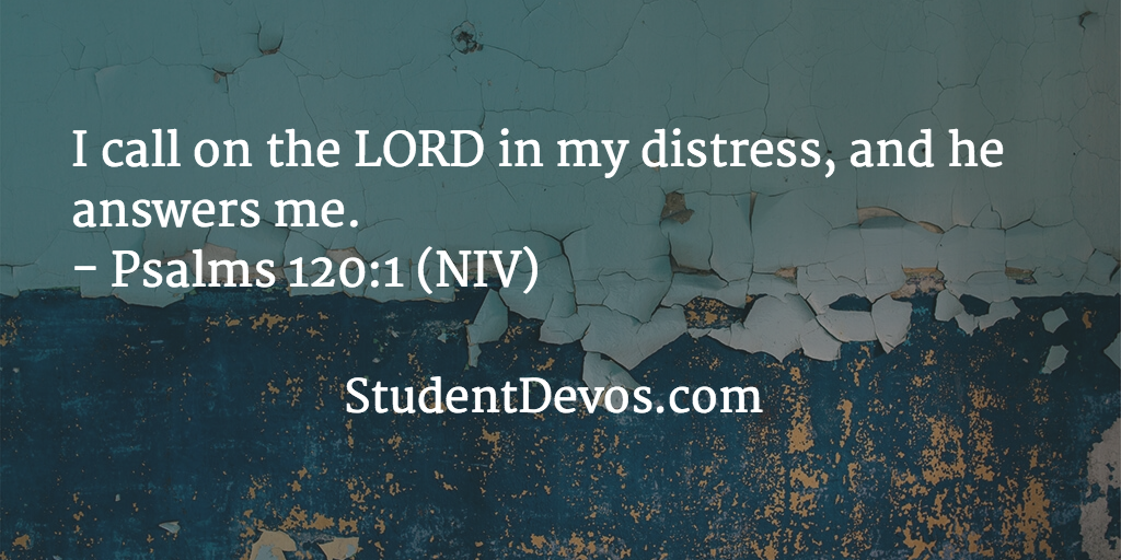 daily bible verse niv