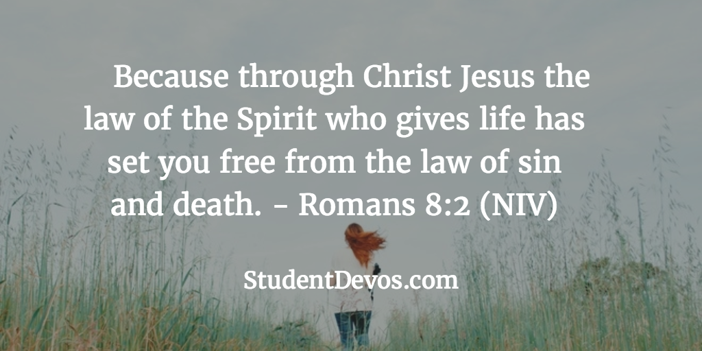 BIble Verse and Devotion on Freedom from Sin