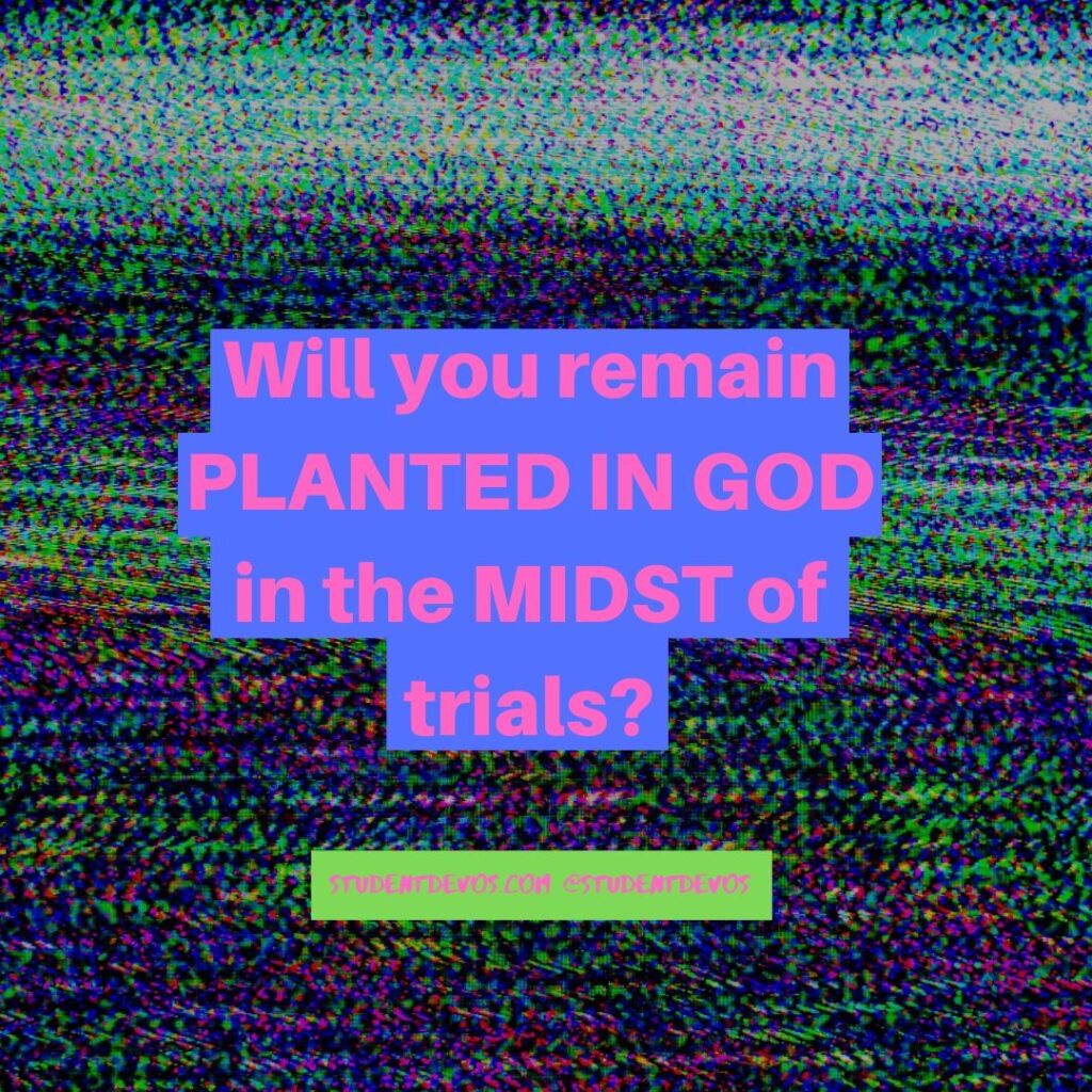 Teen Devotion - Planted in Trials