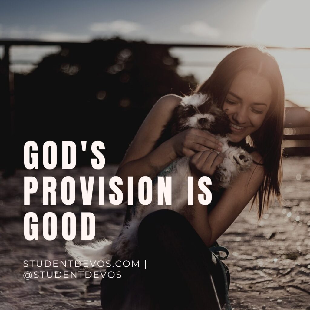 Teen Devotion on God's provision