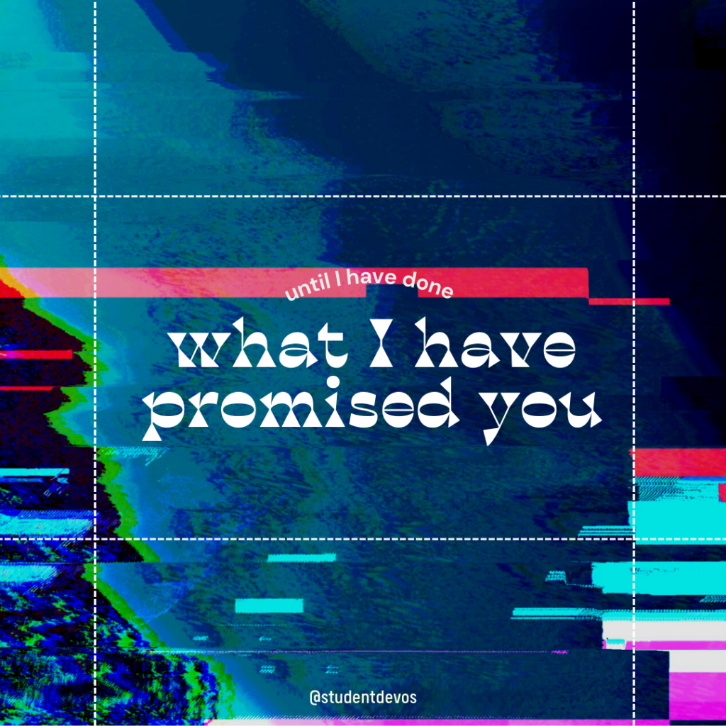 For You Have Promised